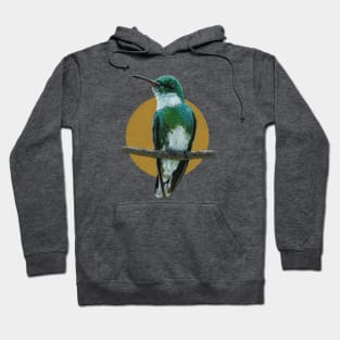 White-throated Hummingbird Hoodie